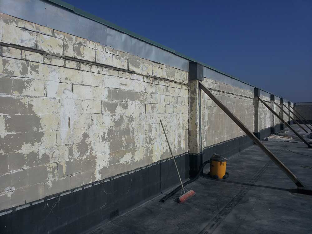 Gallery Image: 