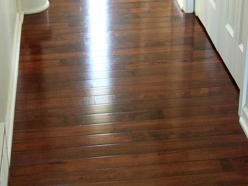 Gallery Image: 